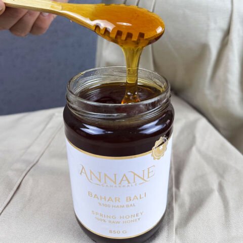 Bahar Balı – 850 g