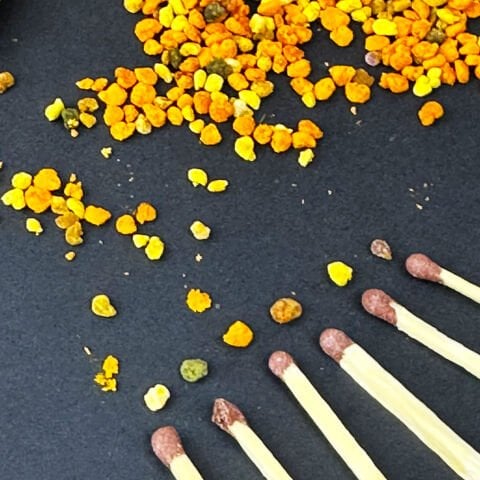 Taze Arı Poleni – 125 g