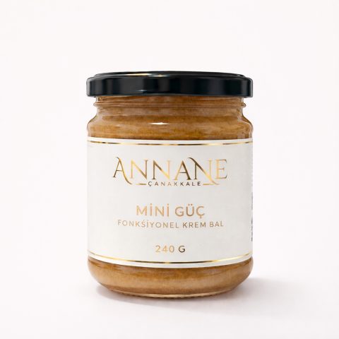 Mini Güç - Bal, Polen, Arı Sütü  Karışımı - 240 g