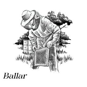 Ballar